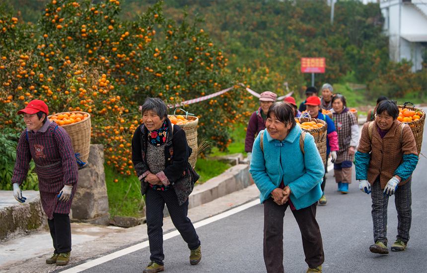 С(zhn)\(yn)¼tGz