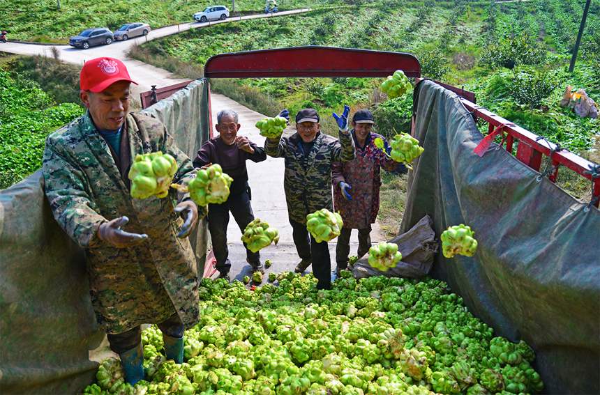 ɳ(zhn)D(zhun)\(yn)r^Sz