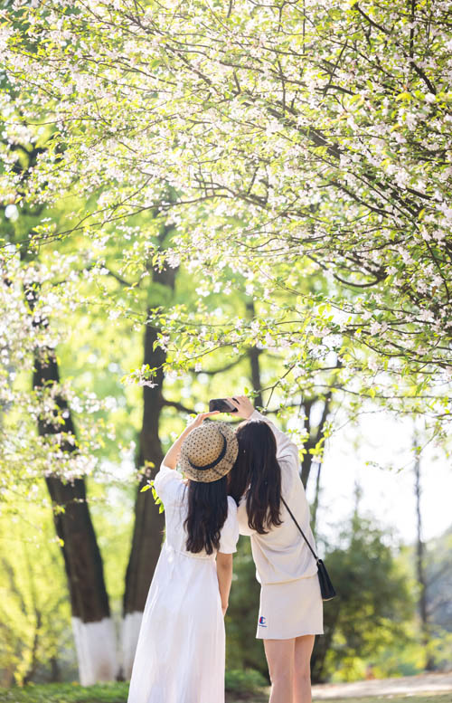 οؑcFɽƺɭֹ@pz