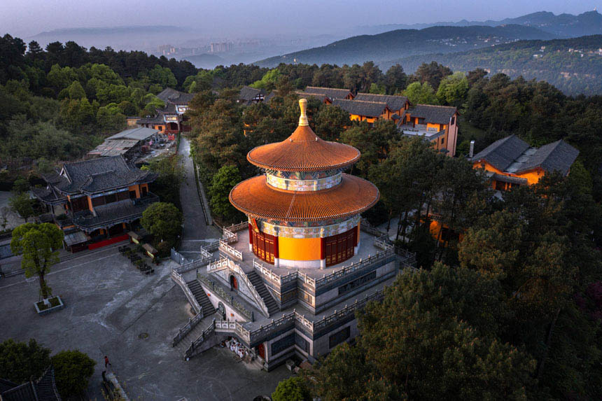 Fɽƺɭֹ@箋(hu)z