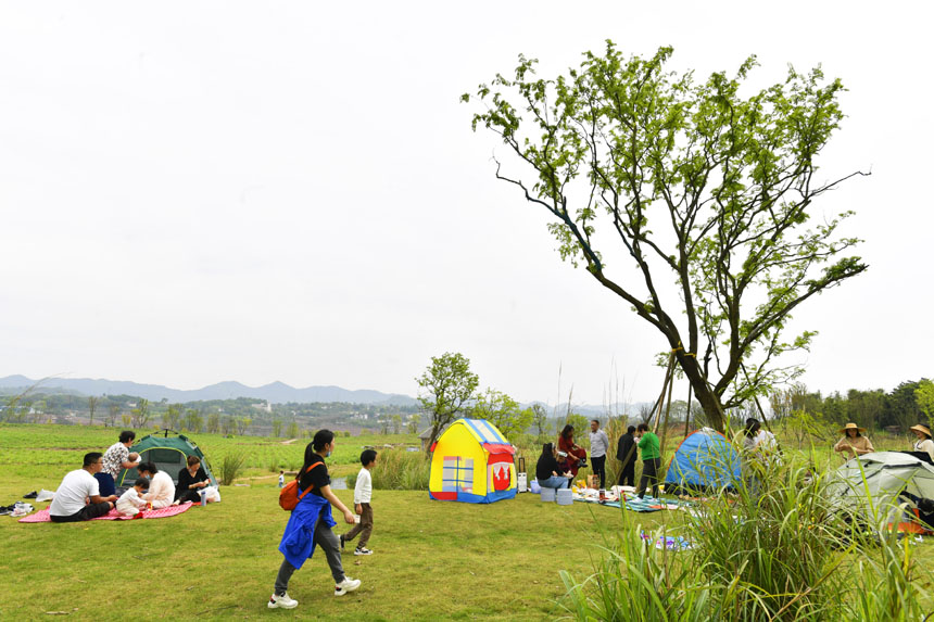 Vꖍu¶IҰܴů޾ӡz