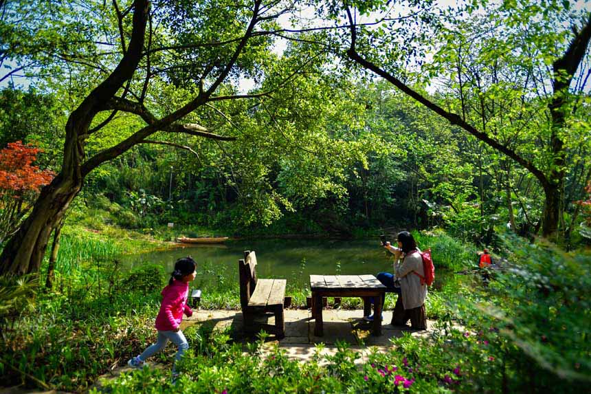 ՏV(yng)uӳr̼tľGɫ֮У(l)Õr(sh)(ji)޾ӡz