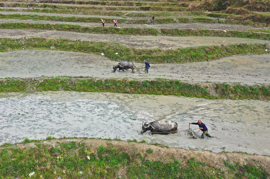 46գؑcˮͩl(xing)(x)ɳڸwz