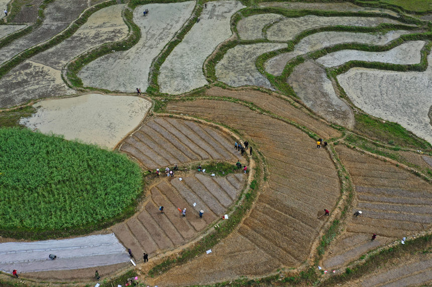 46գؑcˮͩl(xing)ɳgwz