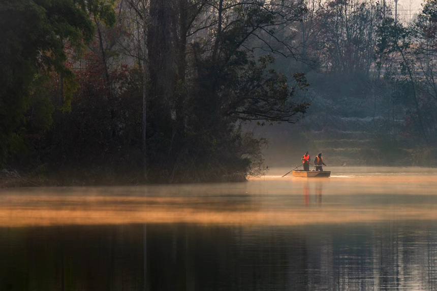 ˆTڝƯؑcƽp(gu)ҝع@D