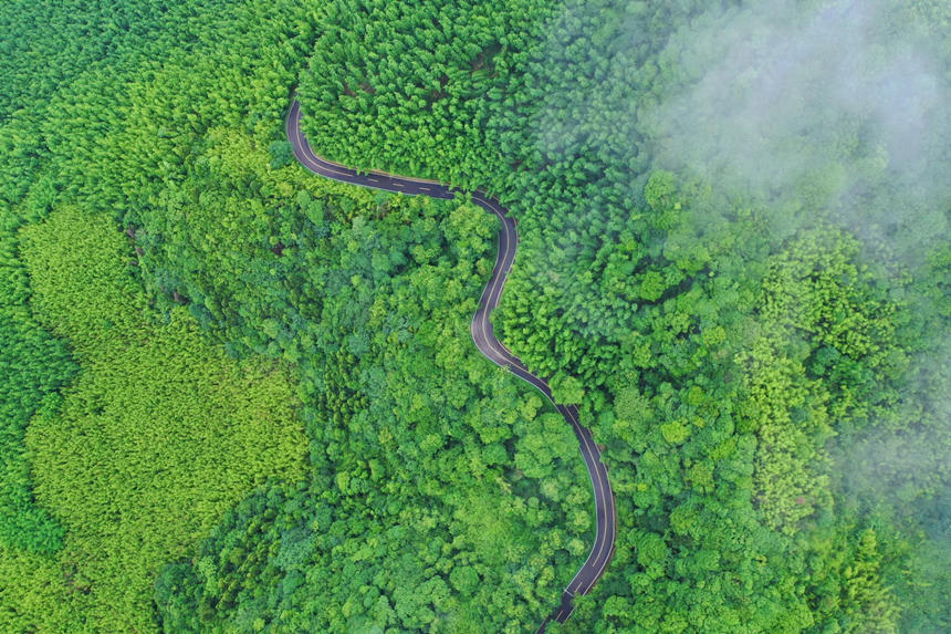 Bشؑcƽpҝع@D