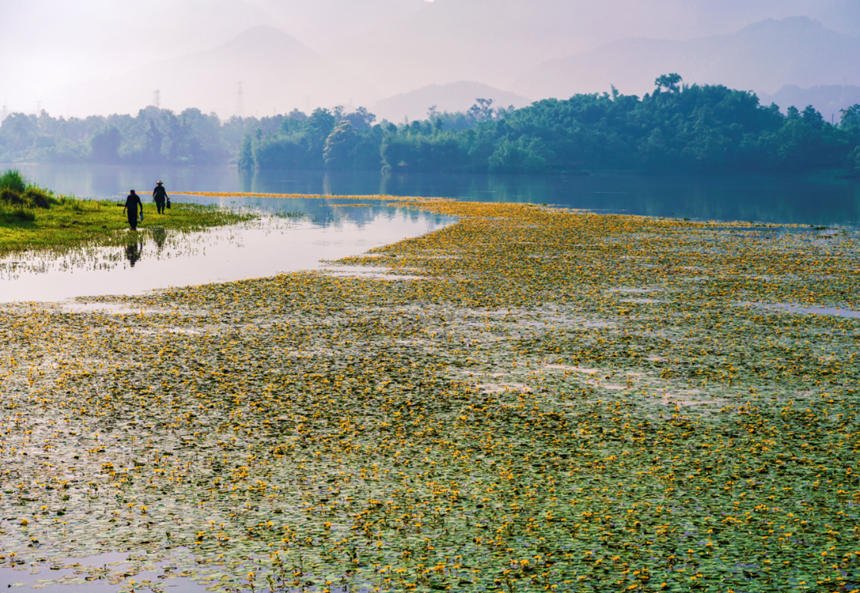 ˆTp߅Ưؑcƽpҝع@D