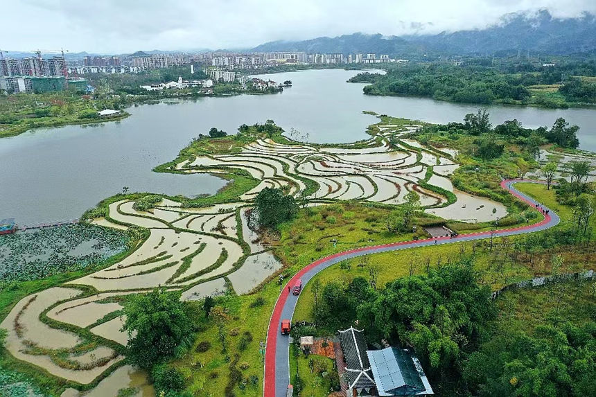 Bؑcƽpҝع@ؑcƽpҝع@D