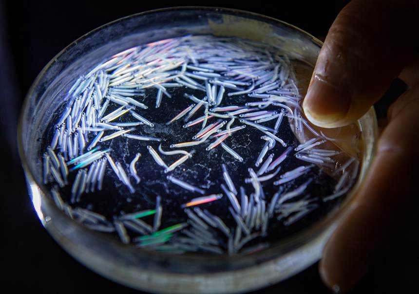 ֬~׃~һܵĕr(sh)gȽ܊z