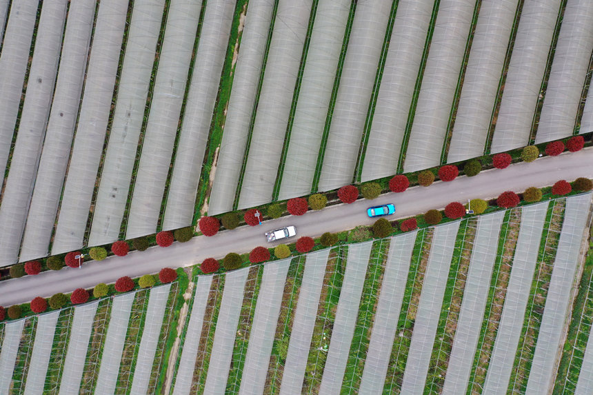 ܇vؑcǭ^(q)(zhn)dȪĮa(chn)I(y)·z