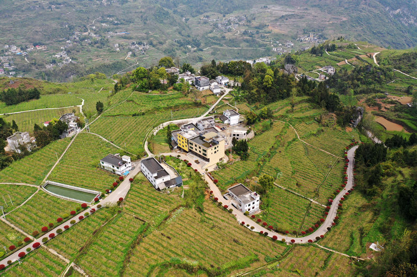 ؑcǭ^(q)(zhn)dȪF(xin)r(nng)I(y)@JһصĮa(chn)I(y)·z