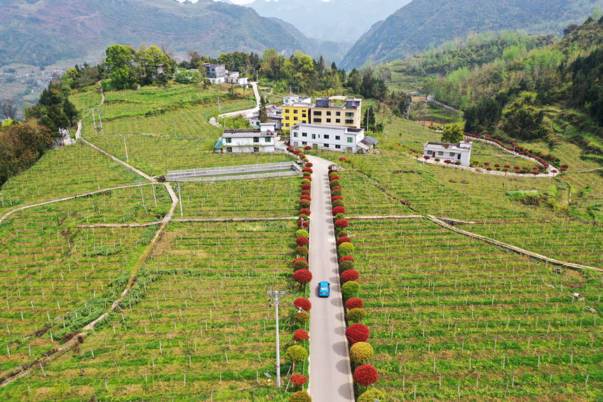 ܇vؑcǭ^(q)(zhn)dȪĮa(chn)I(y)·ϡz