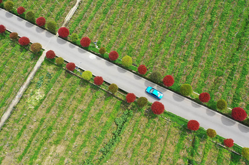 ܇vؑcǭ^(q)(zhn)dȪĮa(chn)I(y)·z