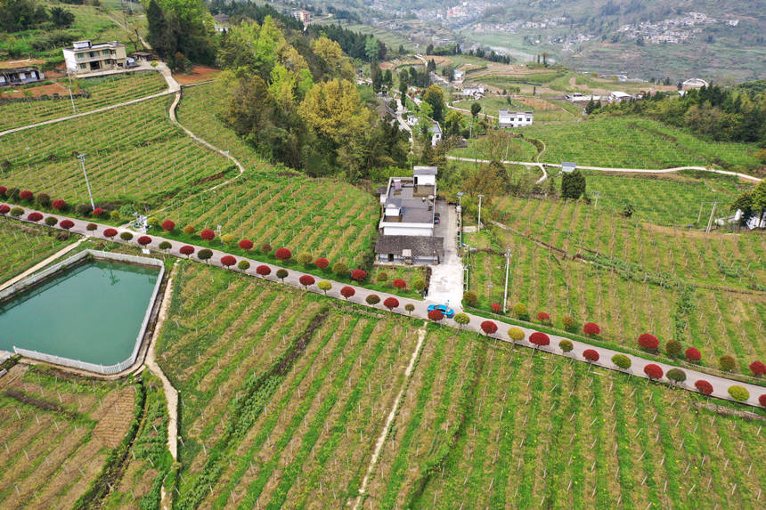 ܇vؑcǭ^(q)(zhn)dȪĮa(chn)I(y)·z