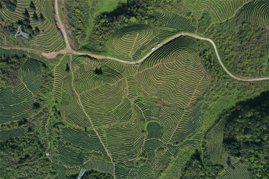 һɽqһ(g)(g)ڴϡָyȞ^wz