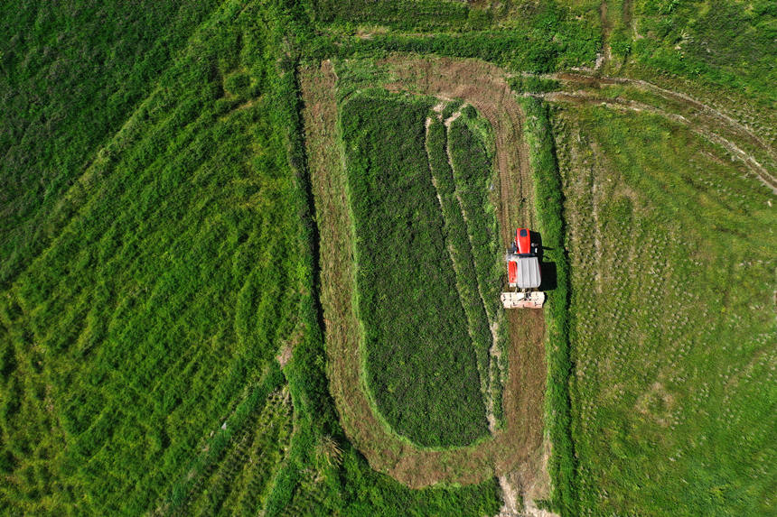 ؑcǭ^(q)R(zhn)ɼ(sh)C(j)(zhn)ĵz