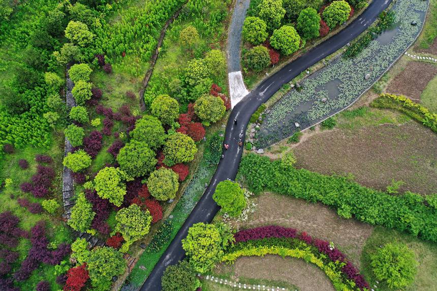 οؑcǭ^(q)ҝع@Tҽֵ܈@z