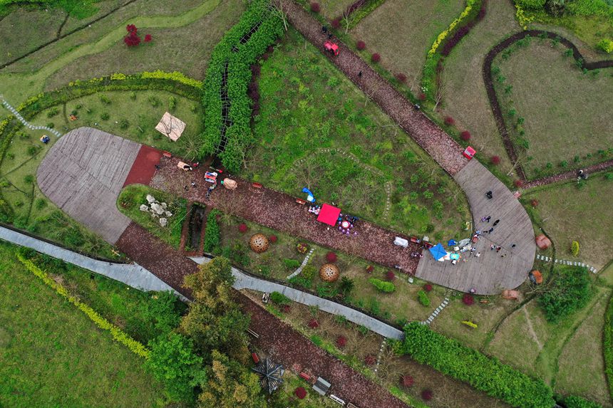 οؑcǭ^(q)ҝع@Tҽֵ܈@档z