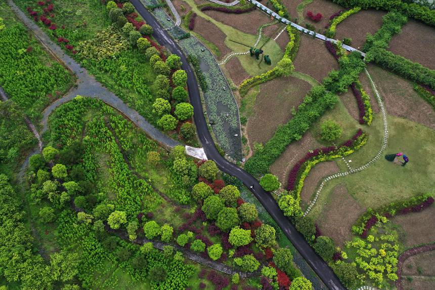 οؑcǭ^(q)ҝع@Tҽֵ܈@z