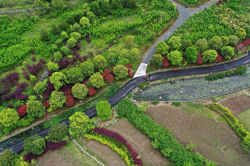 οؑcǭ^(q)(gu)ҝع@Tҽֵ܈@档z