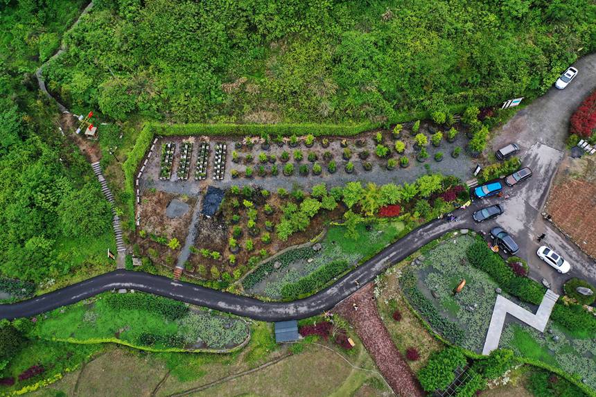 οؑcǭ^(q)(gu)ҝع@Tҽֵ܈@z