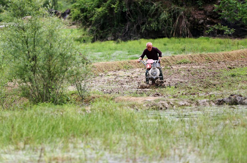 ؑcˮ(zhn)׷Nֲأ΢Cz