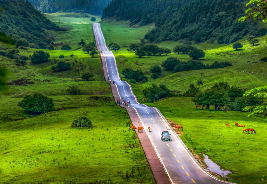 Ůɽ(gu)ɭֹ@¡^(q)D