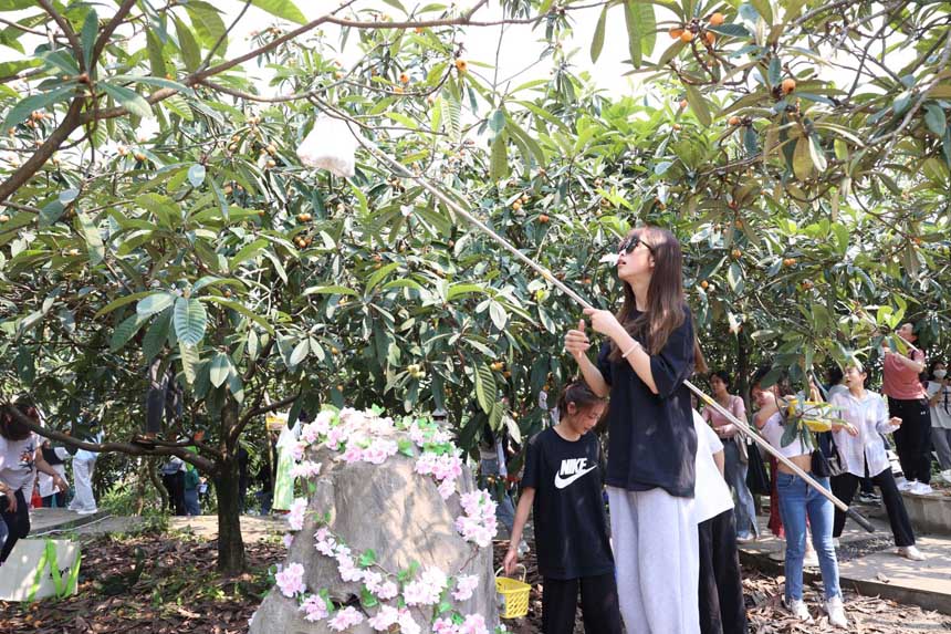 看我采摘有妙招。重慶文化藝術(shù)職業(yè)學(xué)院供圖