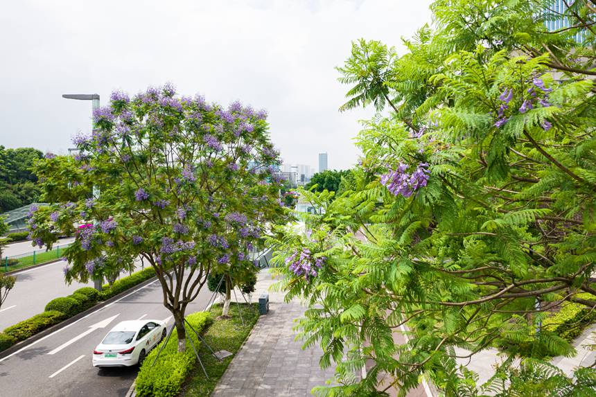 ؑcϰ^(q)VꖞǄ(chung)B(ti)ͨ{ʢ_־z