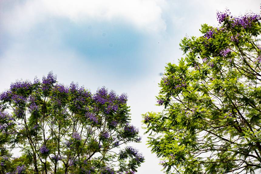 ؑcϰ^(q)VꖞǄ(chung)B(ti)ͨ{(ln)ʢ_־z