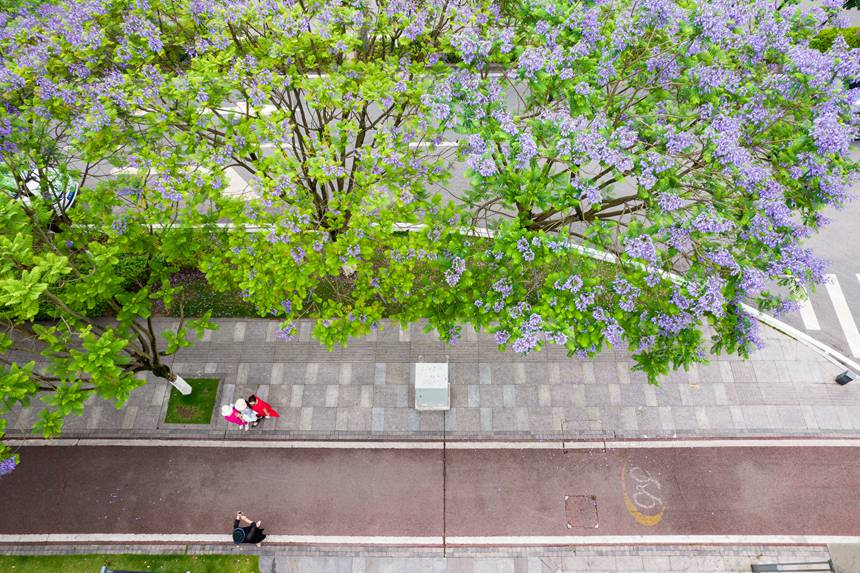 ؑcϰ^(q)VꖞǄ(chung)B(ti)ͨ{ʢ_־z