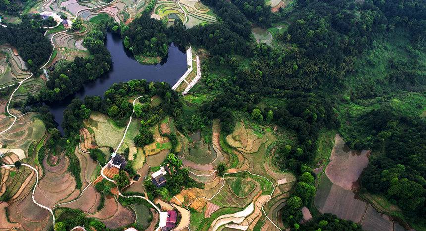 ĵd@L(fng)SӔz