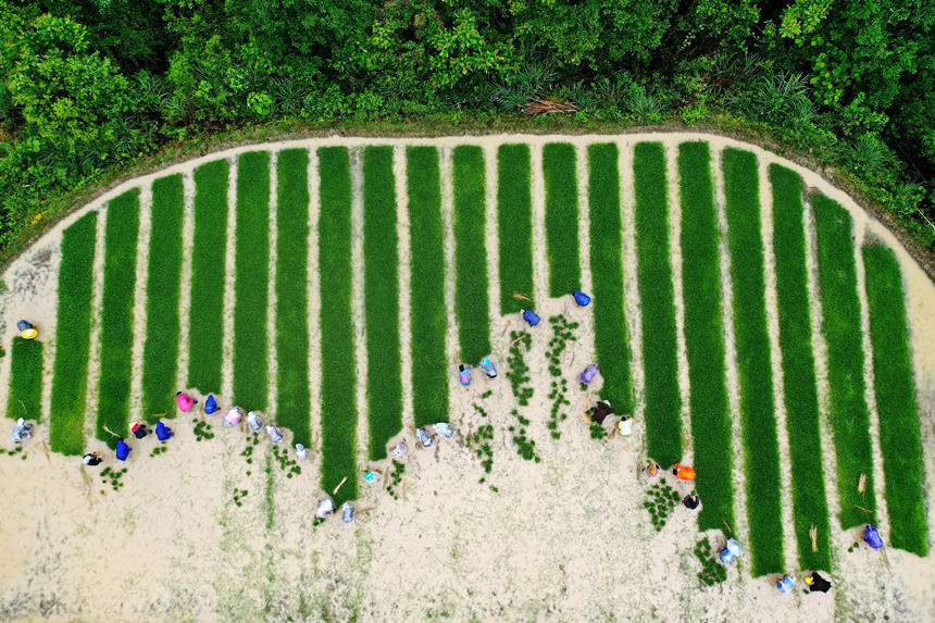 ؑcǭ^(q)ʯ(zhn)ɽˮæµz