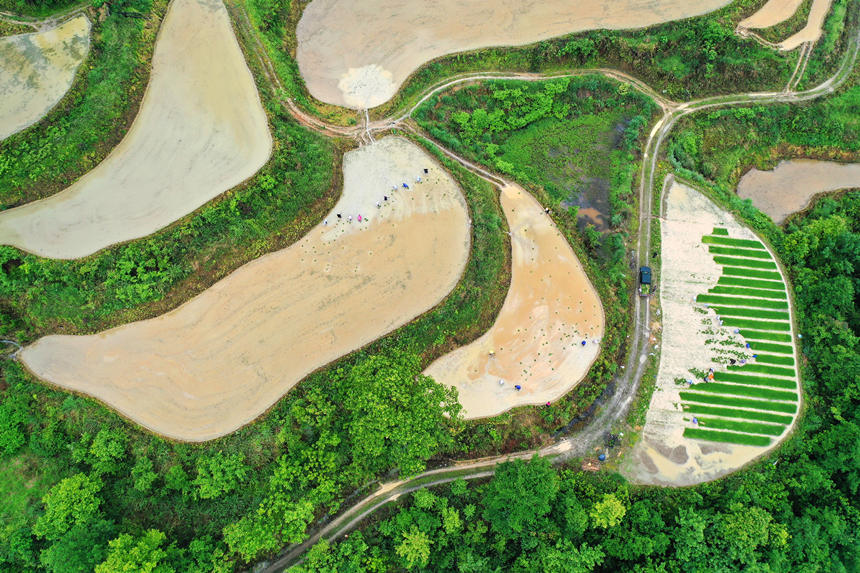 ؑcǭ^(q)ʯ(zhn)ɽgæz