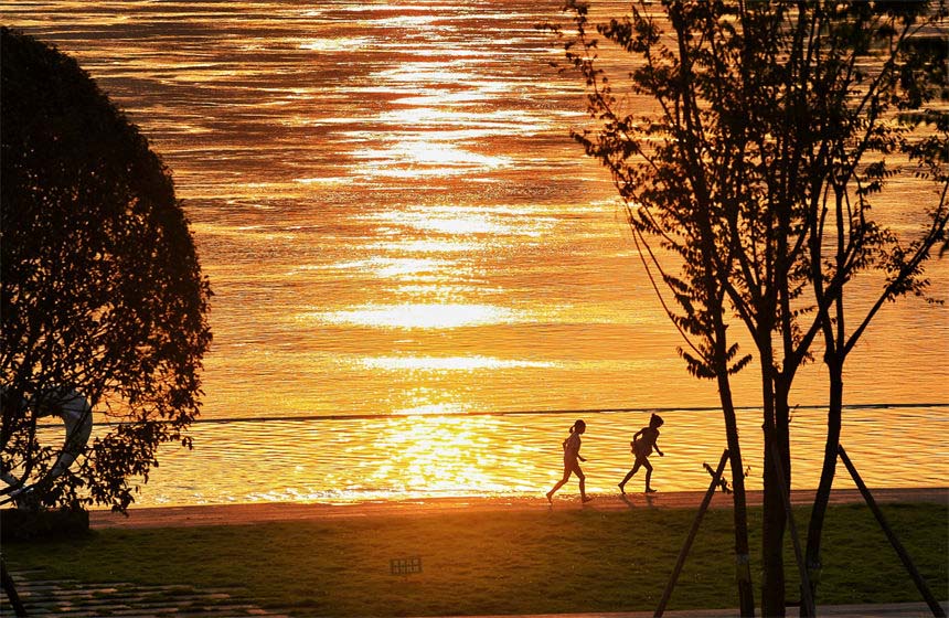 ϞI·ŰͶع@ӂڽ߅ґˣz