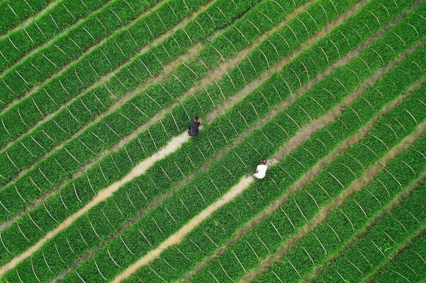 (f)dg鿴L(zhng)(sh)wz