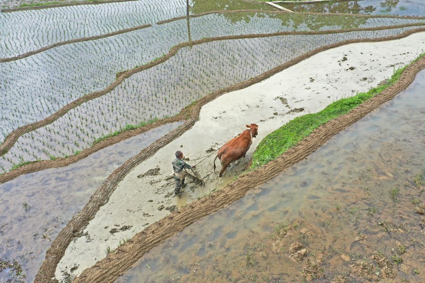 Ϫl(xing)ش(zhn)wz