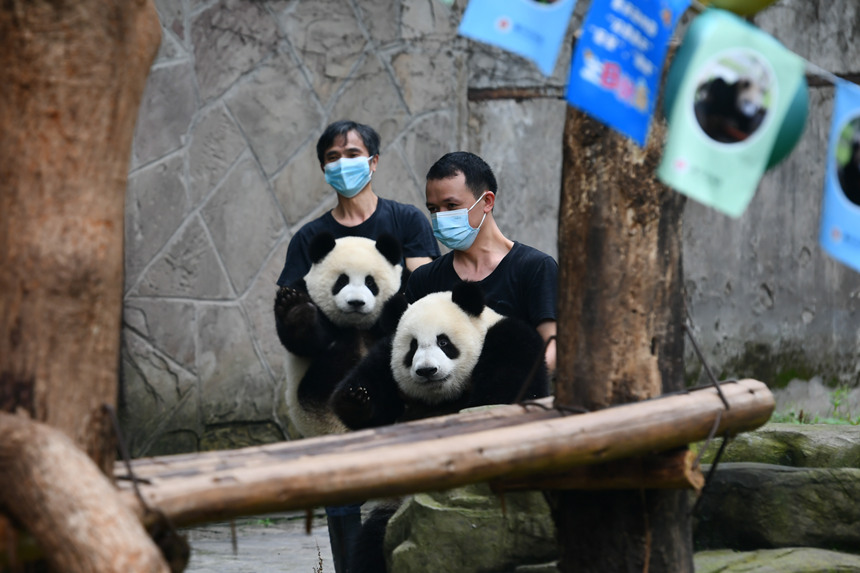 B(yng)TǡcοҊuz