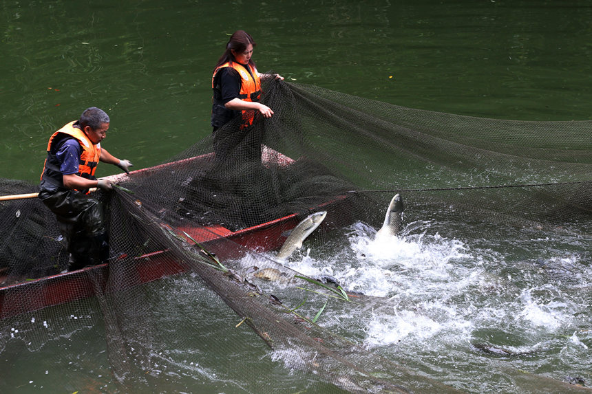 mB(ti)~(y)B(yng)ֳز~(y)(yng)Ј(chng)z