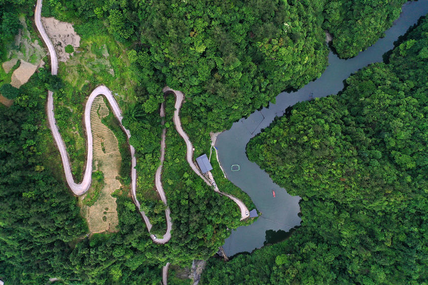 mB(ti)~(y)B(yng)ֳز鿴B(ti)~(y)L(zhng)rz