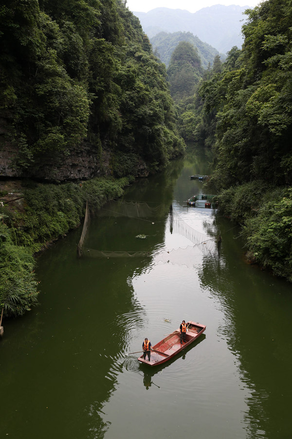 mB(ti)~B(yng)ֳز鿴B(ti)~Lrz