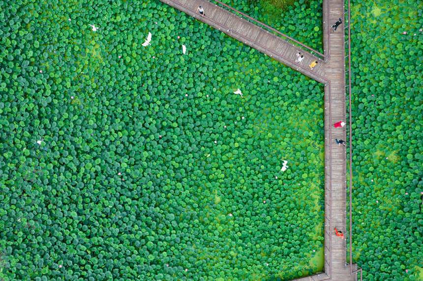 ؑcϪ@(ni)ĺɫ־z