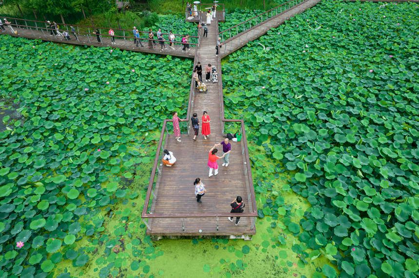 dӵĺοǰ(li)־z