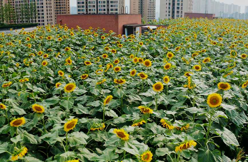 ̌W(xu)?sh)տ@ɽ^(q)ǺW(xu)УD