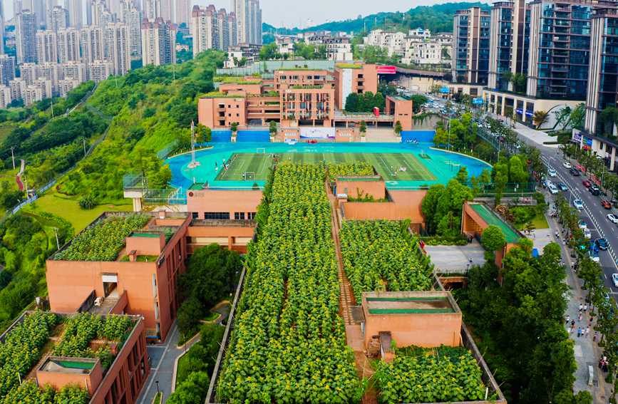 ̌W(xu)?sh)տ@ɽ^(q)ǺW(xu)УD