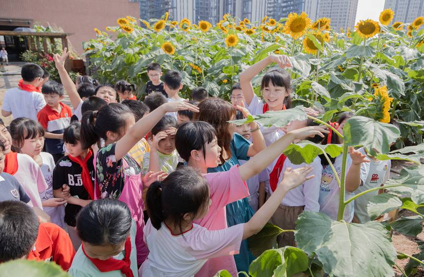 nðM(jn)տ@ɽ^(q)ǺW(xu)УD