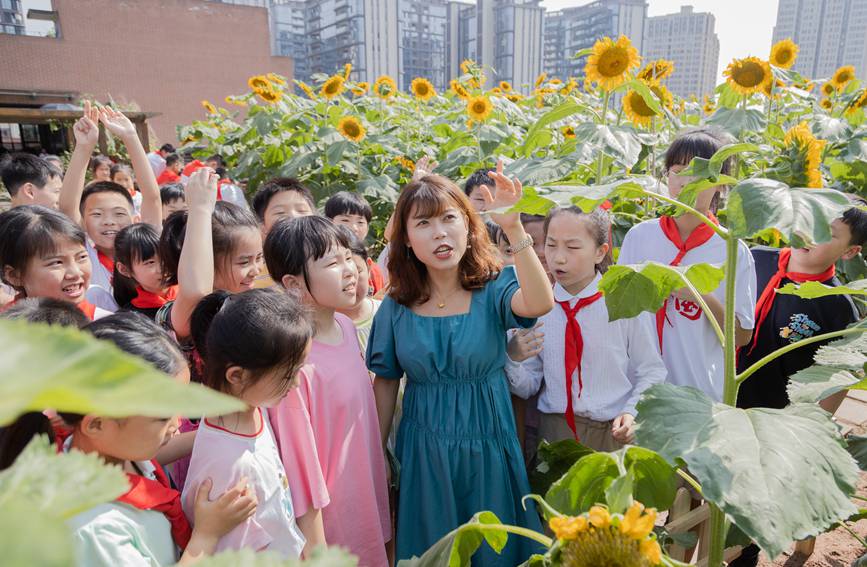 nðMտ@ɽ^(q)ǺW(xu)УD