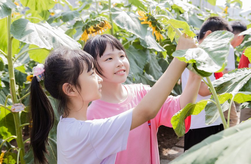 nðMտ@ɽ^(q)ǺWУD