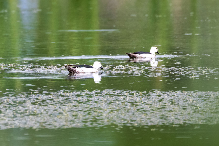 ҶoDpҝع@ˮґˣȑєz