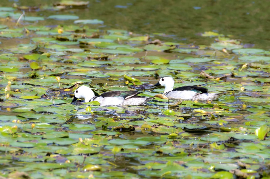 (gu)Ҷ(j)o(h)(dng)Dp(gu)ҝع@ȺЗϢҒʳȑєz